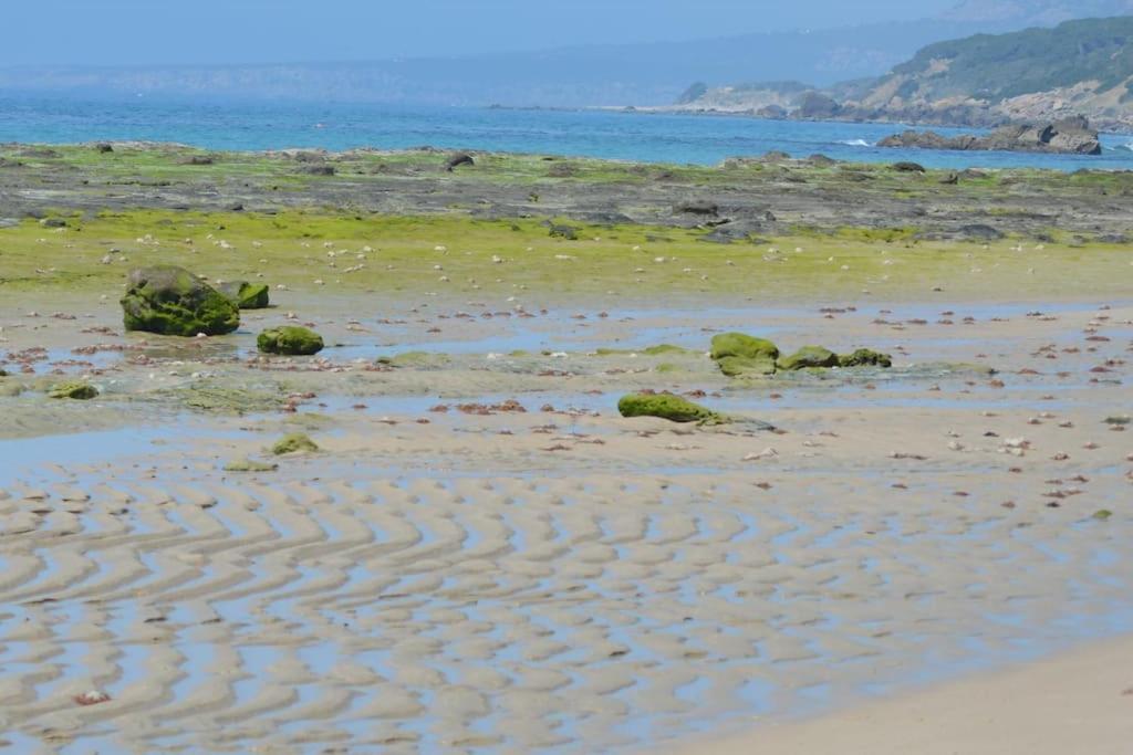 Casita Del Mar A Pie De Playa Lägenhet Tarifa Exteriör bild