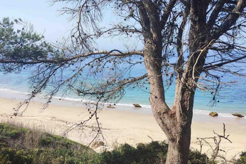Casita Del Mar A Pie De Playa Lägenhet Tarifa Exteriör bild
